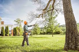 Best Lawn Pest Prevention  in Wildomar, CA